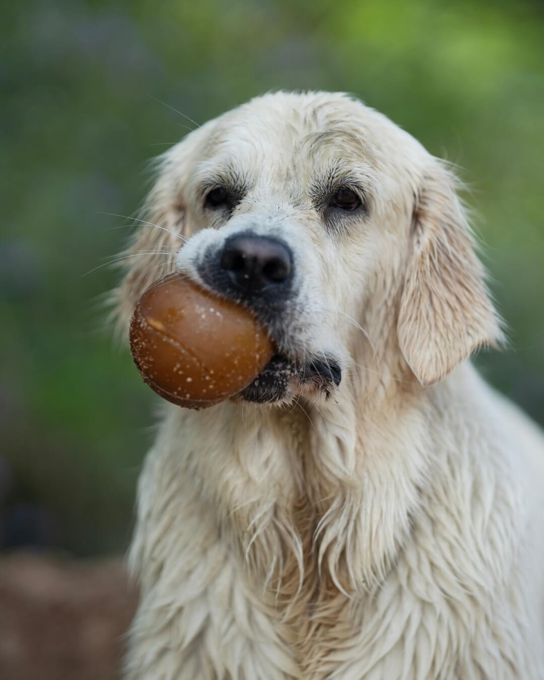 bal van natuurrubber met anti-vacuüm gaten