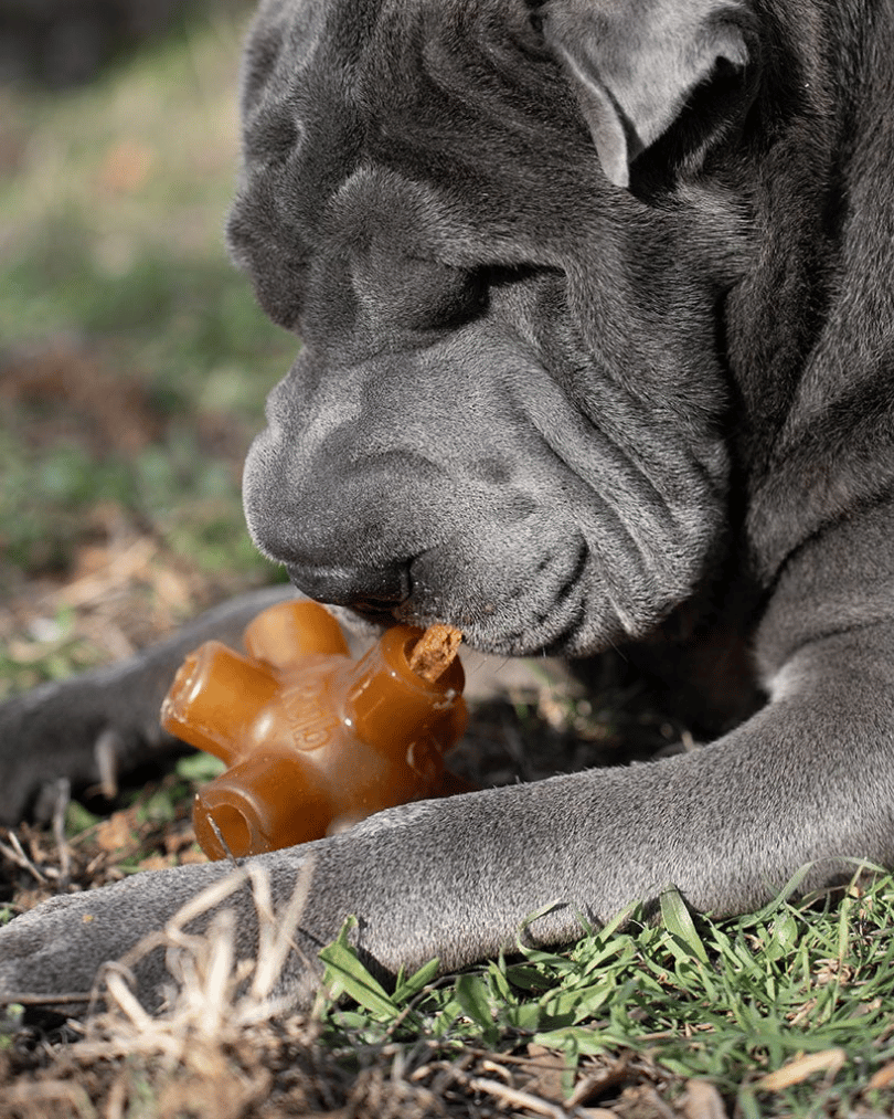 knapperige sticks van eend | puppy