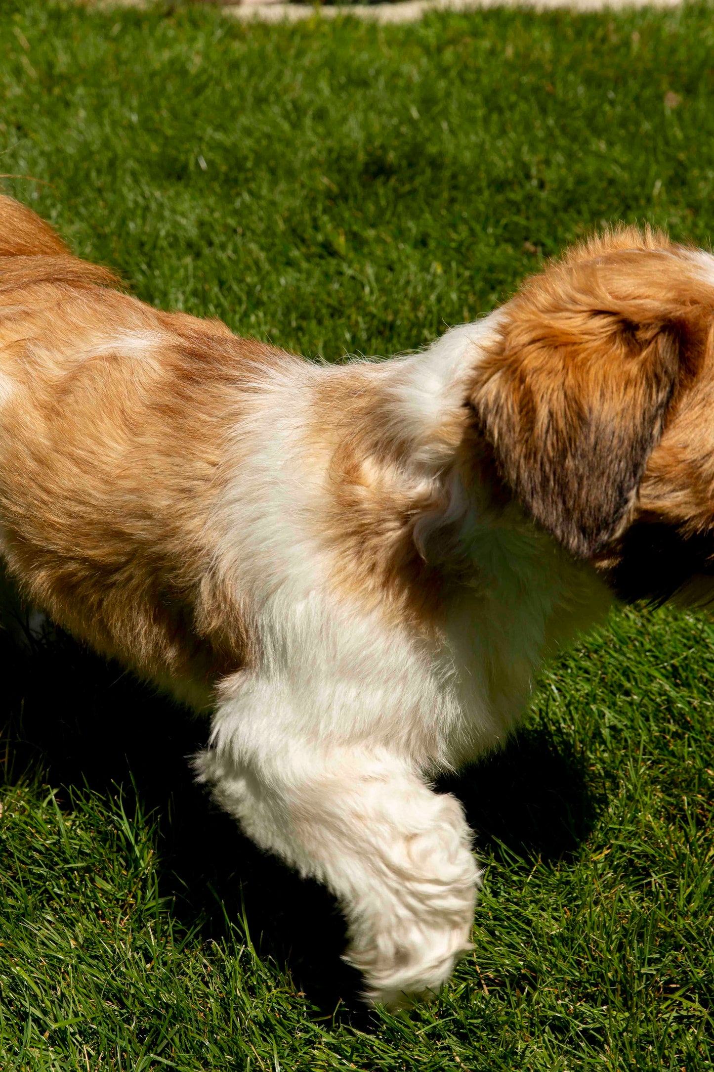 shampoo voor gevoelige huid