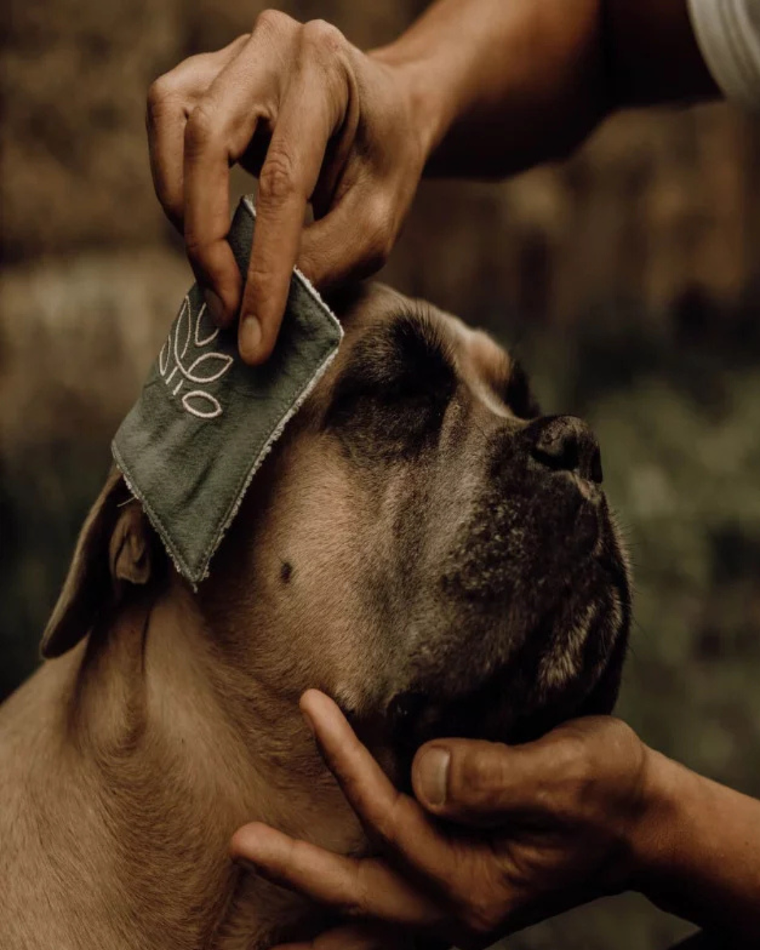 reinigingslotion voor ogen, neus en oren