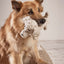 golden retriever van katoen