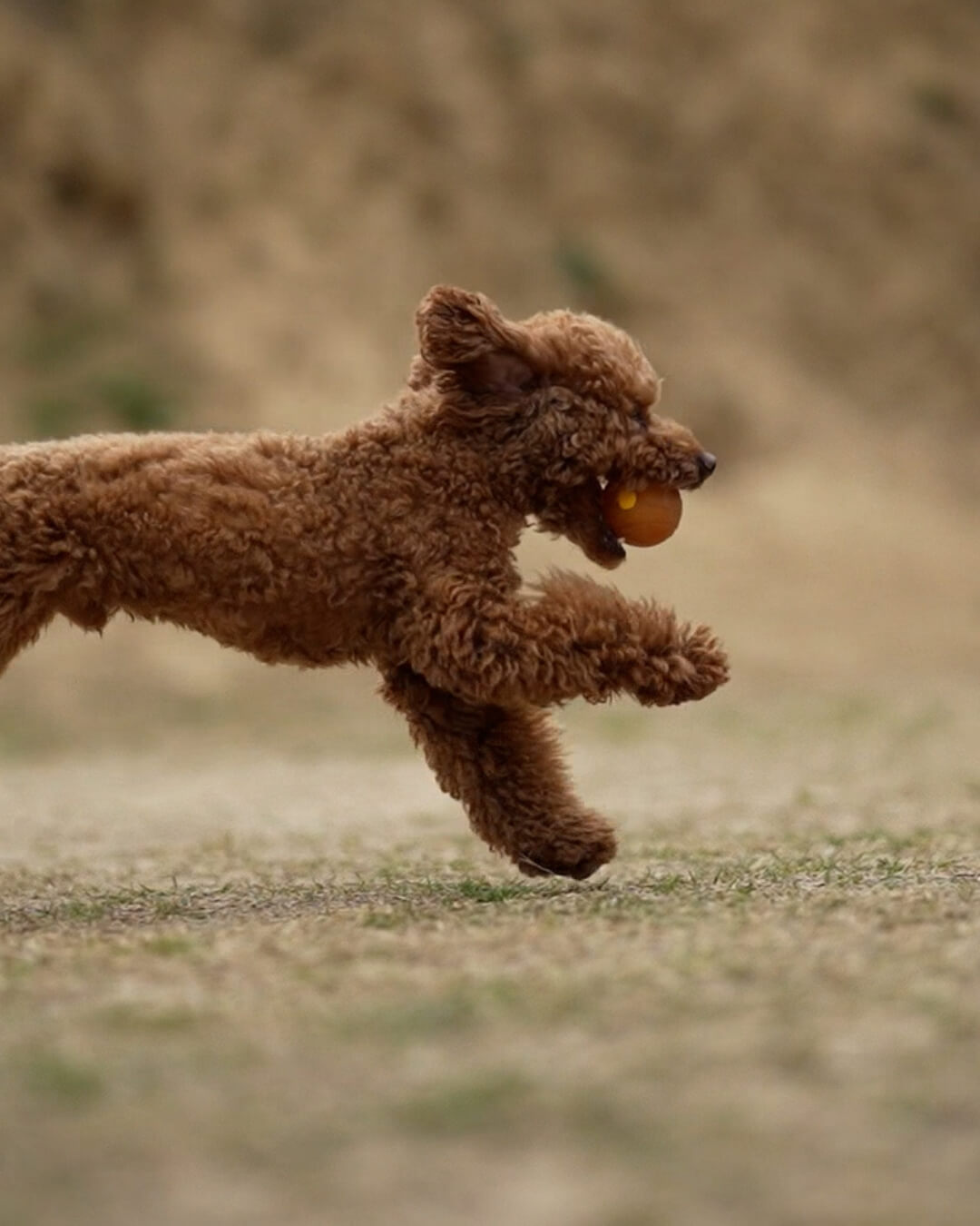 bal van natuurrubber met anti-vacuüm gaten