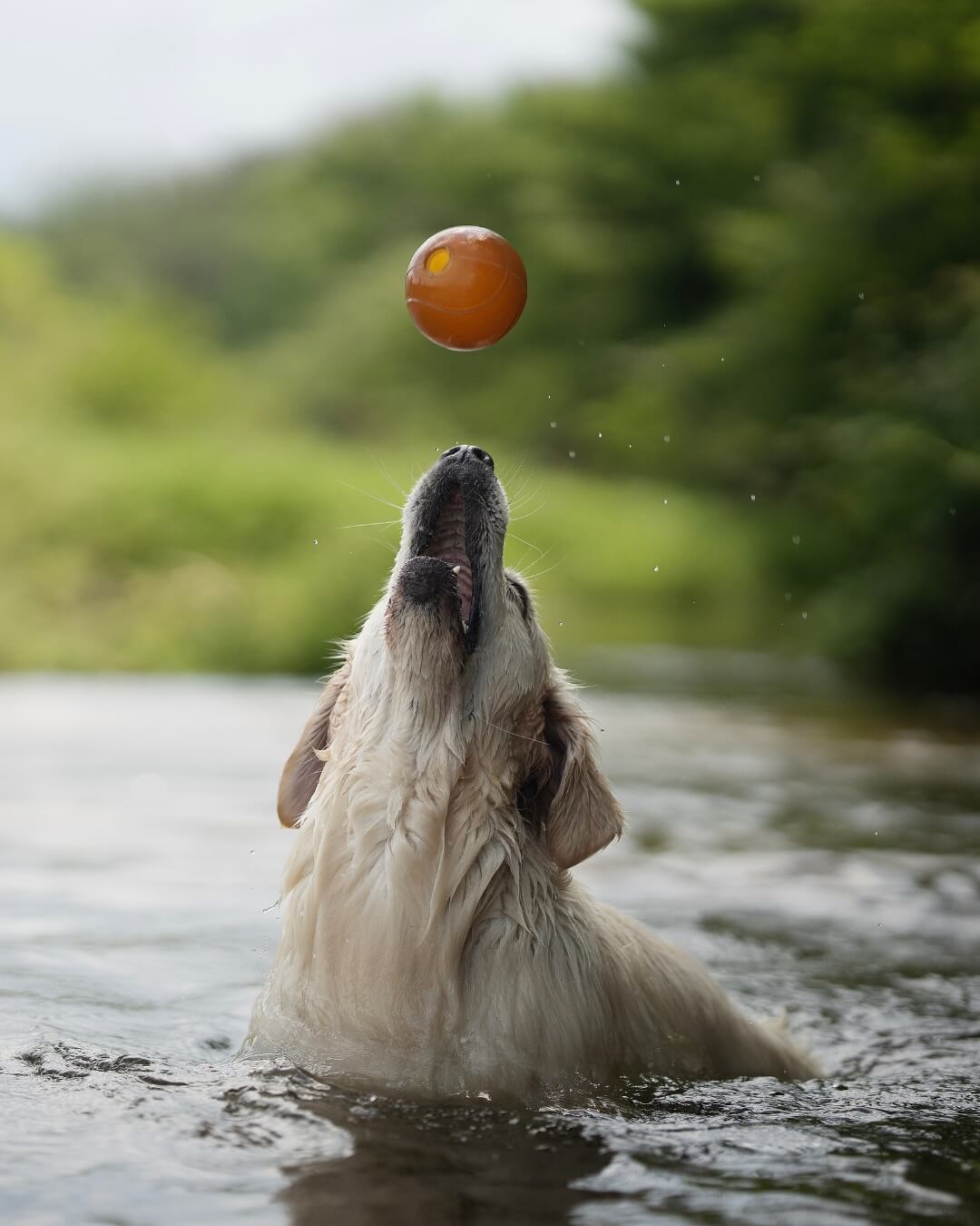 bal van natuurrubber met anti-vacuüm gaten