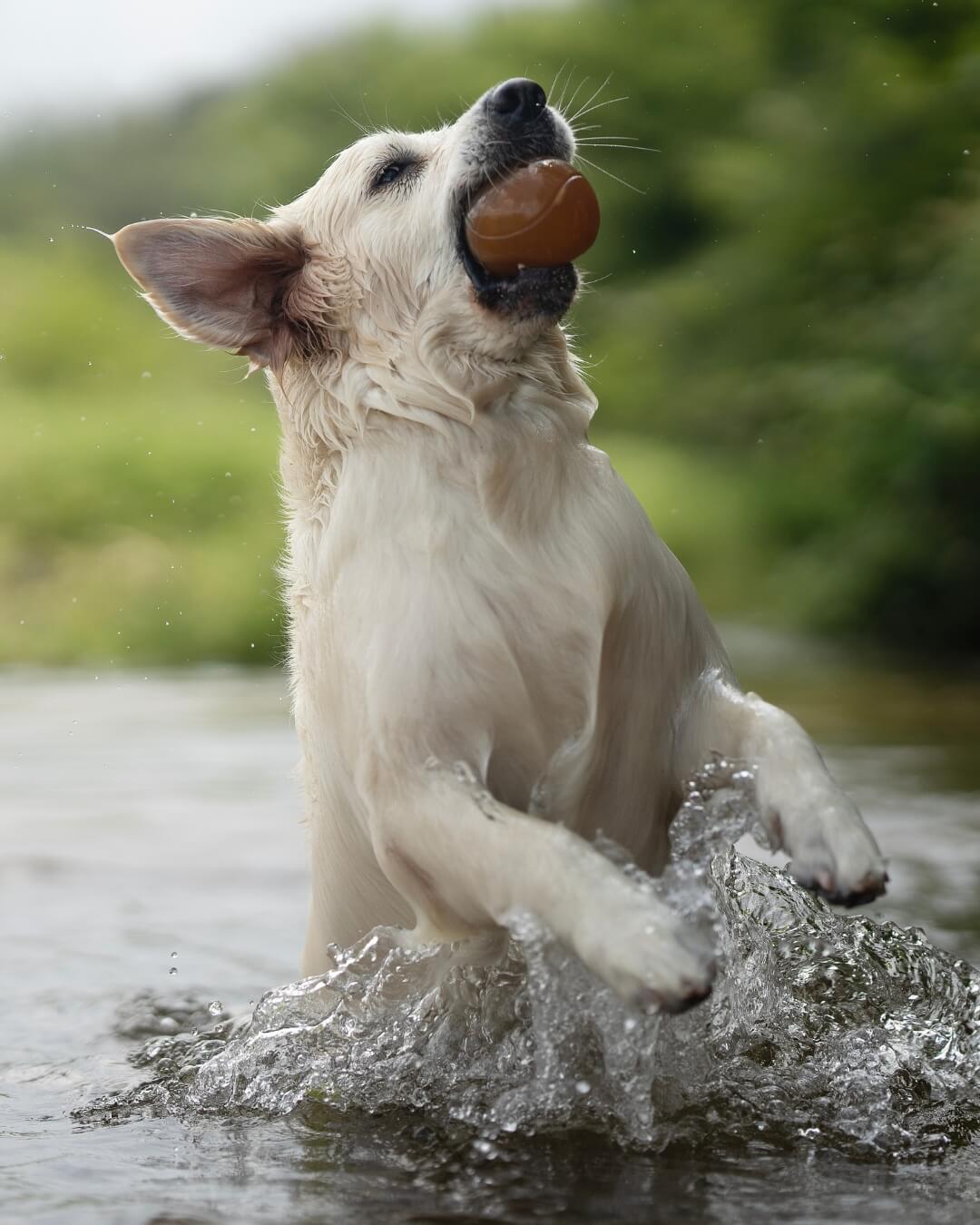 bal van natuurrubber met anti-vacuüm gaten