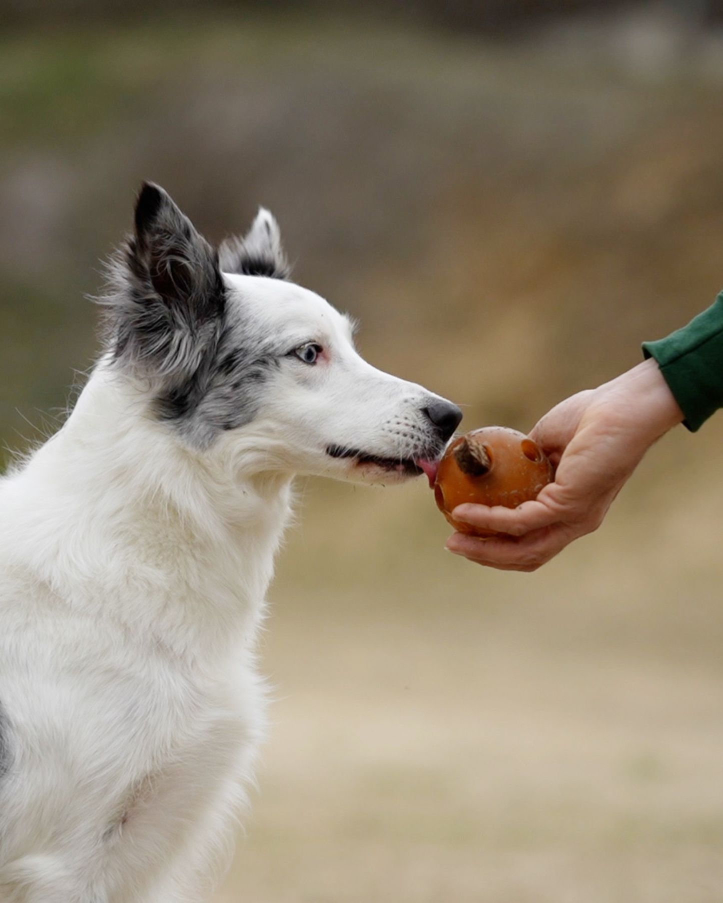snackbal van natuurrubber