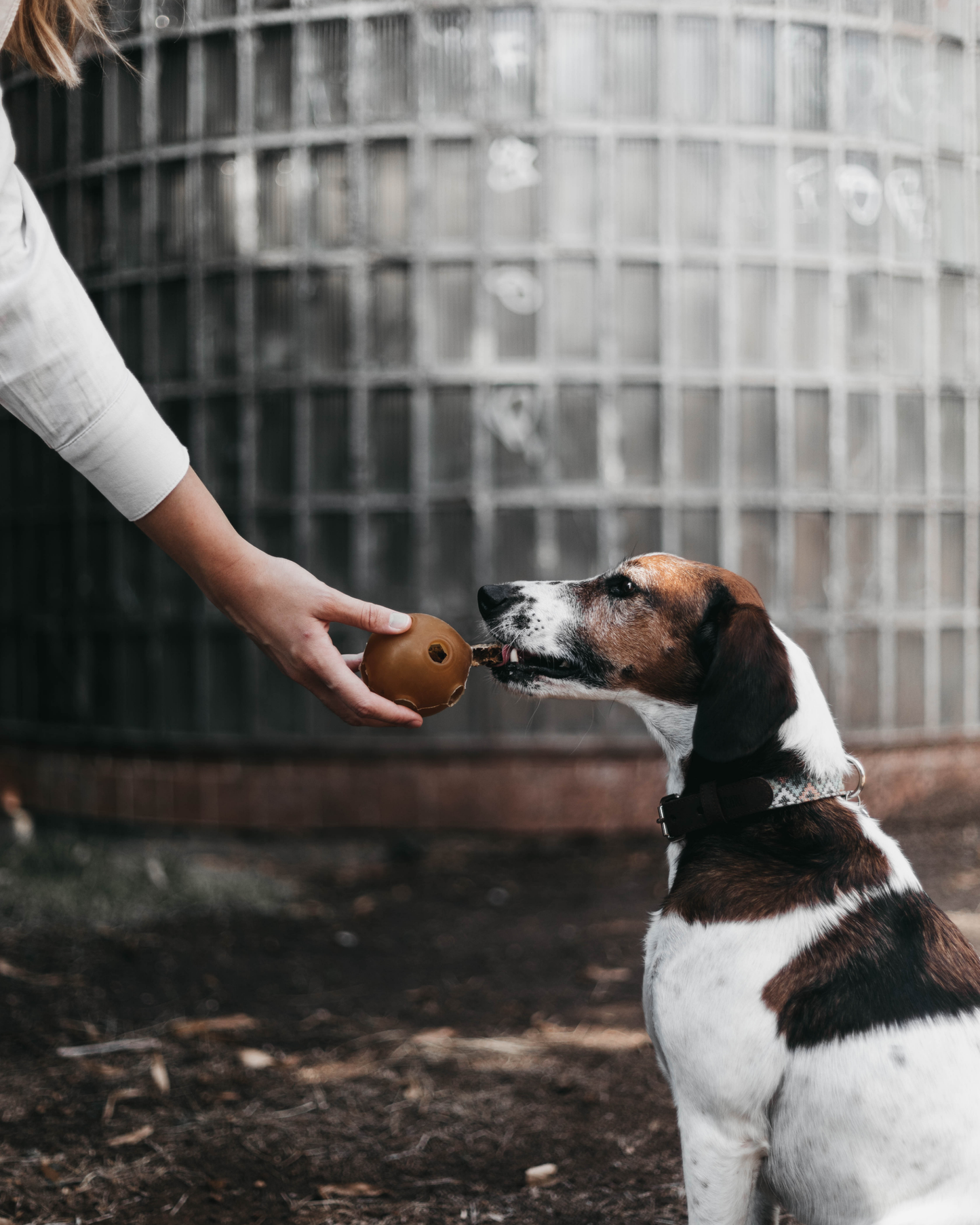 snackbal van natuurrubber