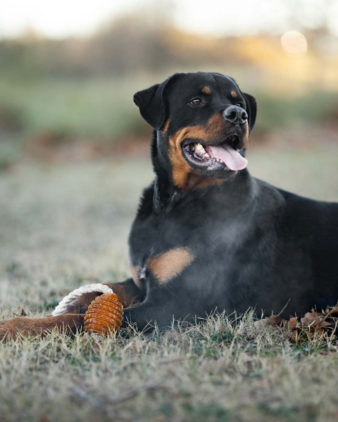 rugbybal van natuurlijk rubber met touw