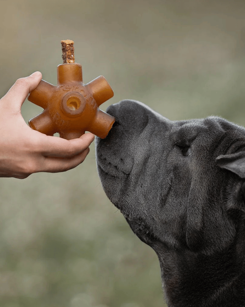 knapperige sticks van eend | klein