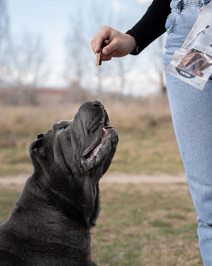 knapperige sticks van eend | puppy