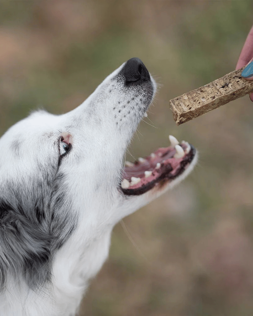 knapperige sticks van kalkoen | groot