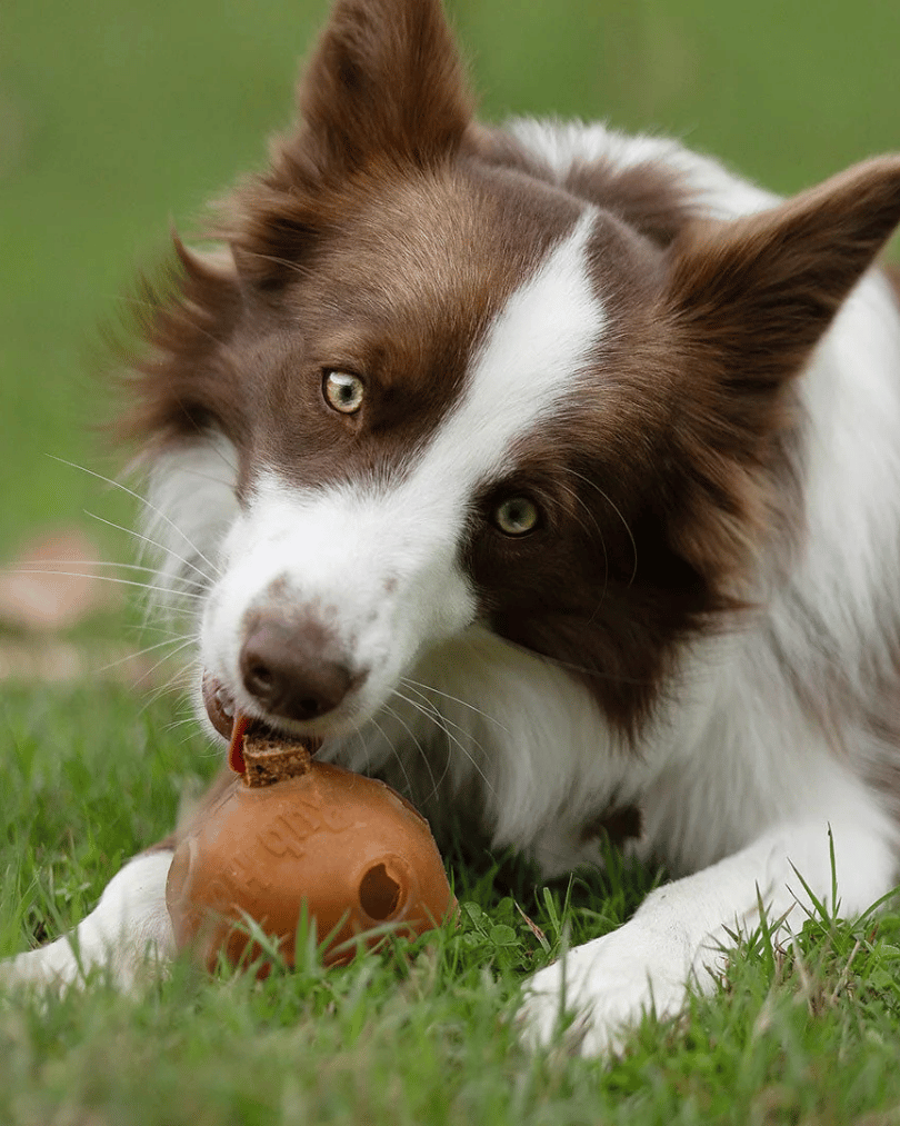 knapperige sticks van kalkoen | groot
