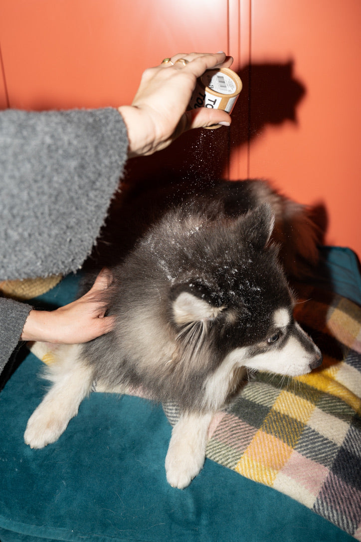 biologische droogshampoo voor gevoelige huid