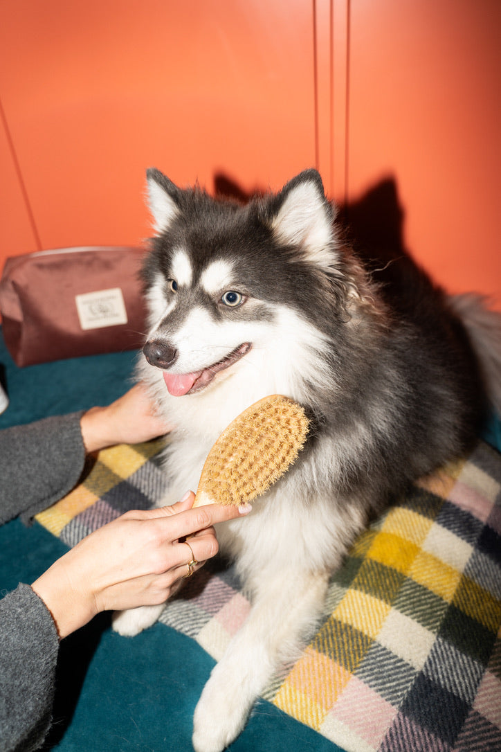 biologische droogshampoo voor gevoelige huid