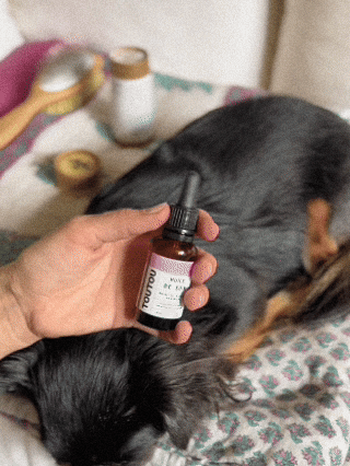 biologische verzorgingsolie voor huid & vacht