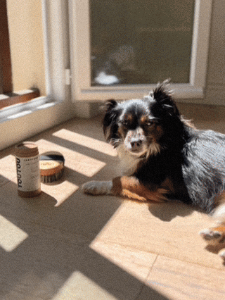 biologische droogshampoo voor gevoelige huid